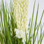 Cream Foxtail Arrangement White