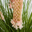 Pink Foxtail Arrangement Taupe