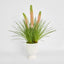 Pink Foxtail Arrangement White