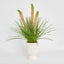 Pink Foxtail Arrangement White