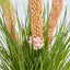 Pink Foxtail Arrangement White
