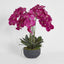 Oreana Arrangement Black