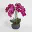 Oreana Arrangement Black