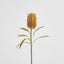 Dried Look Banksia Stem 56cm Tan - Pack of 12