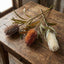 Dried Look Banksia Stem 56cm Tan - Pack of 12