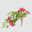 UV Trailing Bougainvillea Bush Fuchsia (Set of 6)