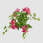 UV Trailing Bougainvillea Bush Fuchsia (Set of 6)