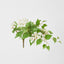 UV Trailing Bougainvillea Bush White (Set of 6)