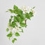 UV Trailing Bougainvillea Bush White (Set of 6)