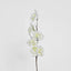 Cherry Blossom 83cm White - Pack of 12