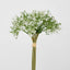 Baby Breath Bouquet 27cm Green & White - Pack of 12