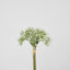 Baby Breath Bouquet 27cm Green & White - Pack of 12