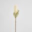 Dried Look Banksia Stem 75cm Cream