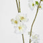 Blossom Spray White Green 84cm