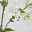 Blossom Spray 98cm White - Pack of 12