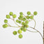 Berry Spray Green