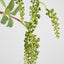Hanging Berry Spray Green