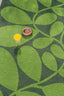 Orla Kiely Sycamore Dill 464207 Outdoor Rug