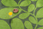 Orla Kiely Sycamore Dill 464207 Outdoor Rug
