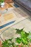 Scion Composition Papaya 023706