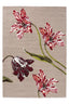 Ted Baker Botanical Tulip Burgundy 455610 Outdoor Rug