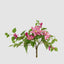 UV Trailing Clematis Bush Fuchsia (Set of 6)