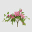 UV Trailing Clematis Bush Fuchsia (Set of 6)