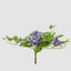 UV Trailing Clematis Bush Purple (Set of 6)