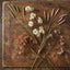 Foxtail grass Spray Green