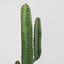 Artificial Desert Cactus 156cm - House of Isabella AU
