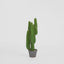 Desert Cactus 82cm