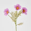 Coco 3 Heads Cosmo 50cm Purple & Pink - Pack of 36