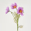 Coco 3 Heads Cosmo 50cm Purple & Pink - Pack of 36