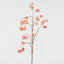 Chinese Lantern Pink 114cm
