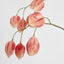 Chinese Lantern Pink 114cm
