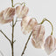 Chinese Lantern White 114cm