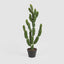 Potted Cactus 98cm