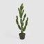 Potted Cactus 98cm