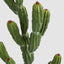 Potted Cactus 98cm