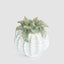 Pineapple Ceramic Sculpture Small White