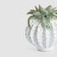 Pineapple Ceramic Sculpture Small White