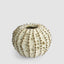 Spiked Cactus Ceramic Moss Vase Natural