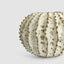 Spiked Cactus Ceramic Moss Vase Natural