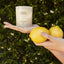 Verbena di Sicilia Premium Candle 230g