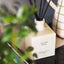Velvet Wood Premium Reed Diffuser 100ml