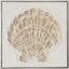 Clam Sea Shell\u201d Canvas in Silver Frame