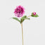 Dahlia Short Stem 50cm Purple