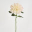 Giant Dahlia Stem 70cm Ice Pink