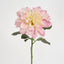Giant Dahlia Stem 70cm Pink