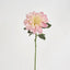 Giant Dahlia Stem 70cm Pink